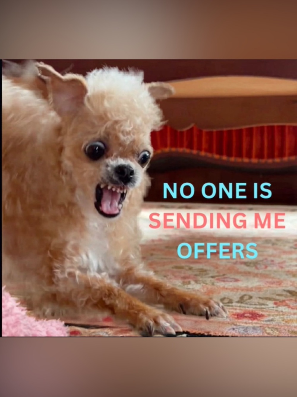 Offers welcome!